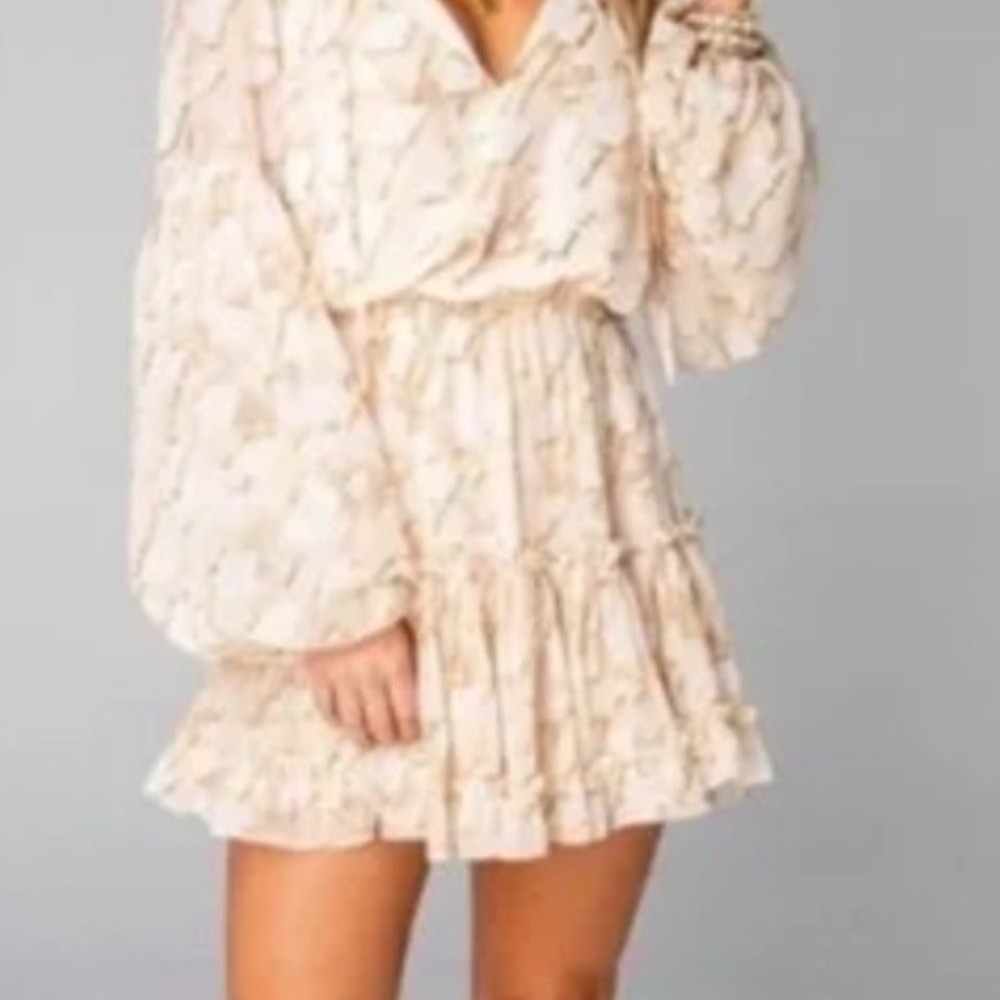 Buddy Love Cream and Gold Mini Dress Country Western style in Rodeo stretchy MD. - Picture 2 of 16